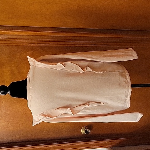 J. CREW Mercantile Pink Ruffle front Sweatshirt - Picture 3 of 7